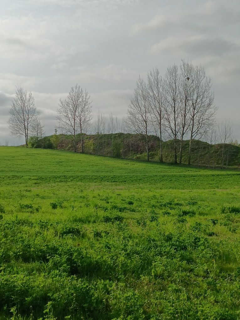 Sprzedam działki