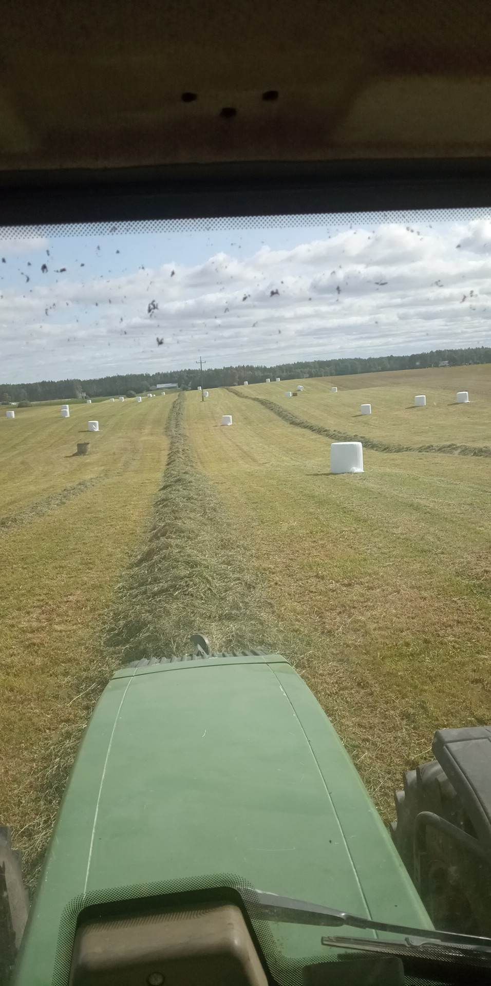 Usługi prasowana siana sianokiszoonki bel koszenie motyl