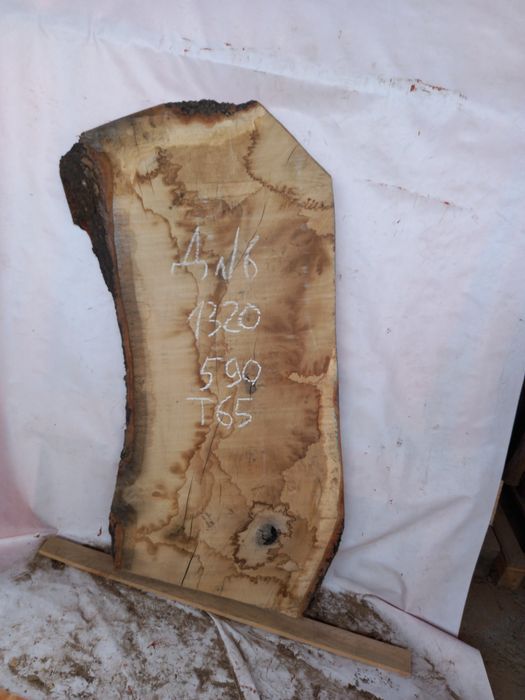 Продам слэб дубовый