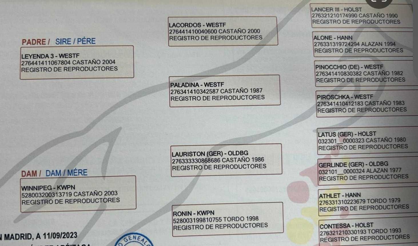 Potro Inteiro CDE
