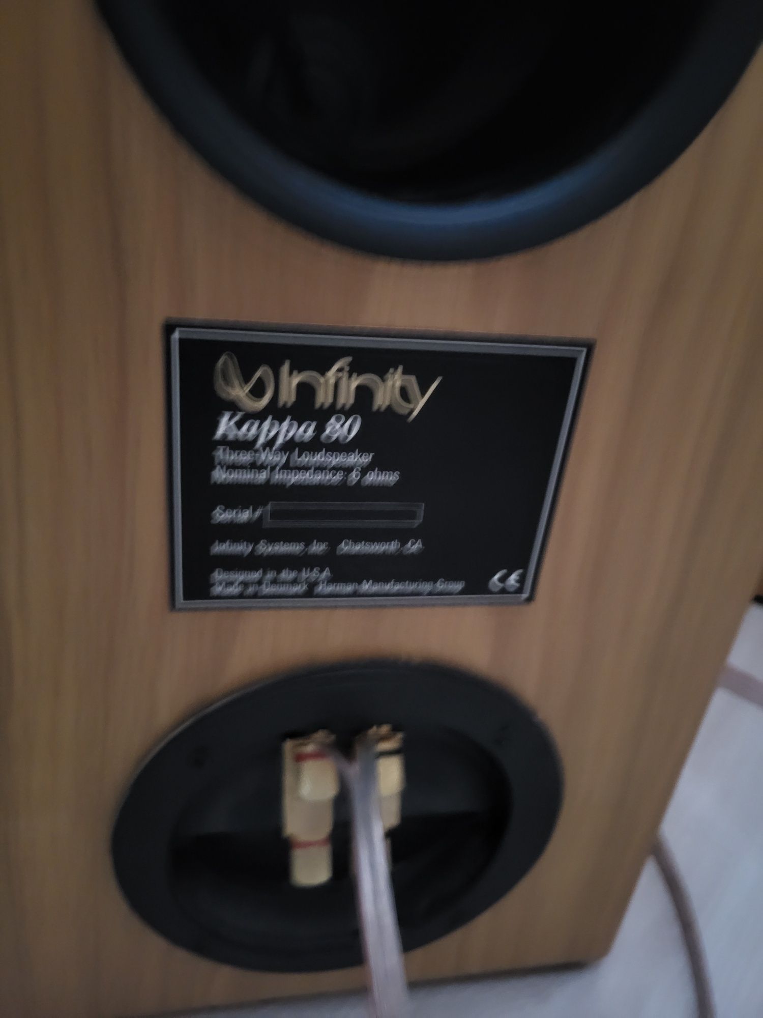Kolumny głośnikowe Infinity kappa 80