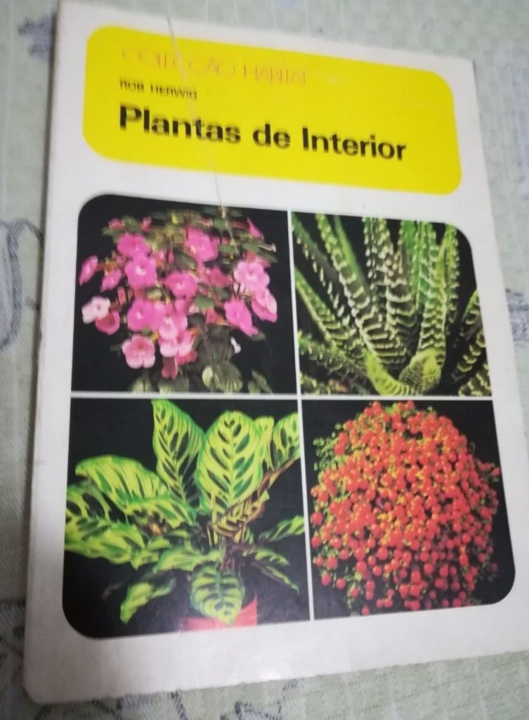 Plantas de Interior