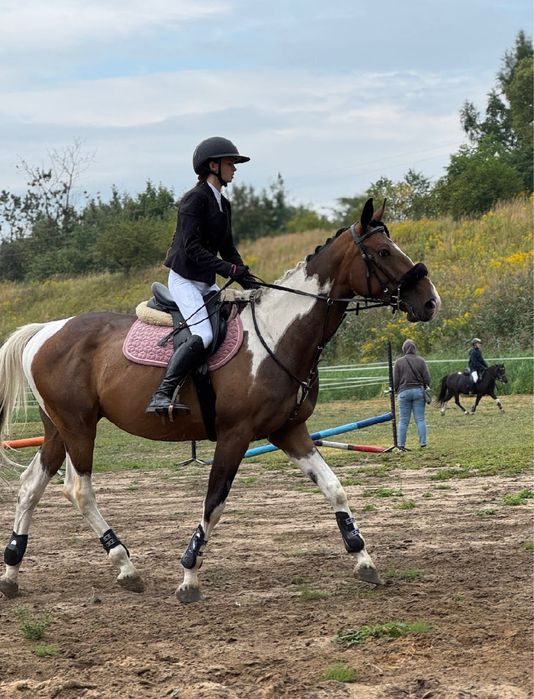 Wspóldzierzawa konia - wicher