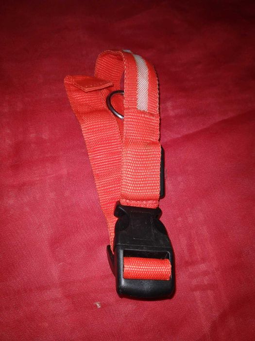 Светящийся ошейник, 52 см