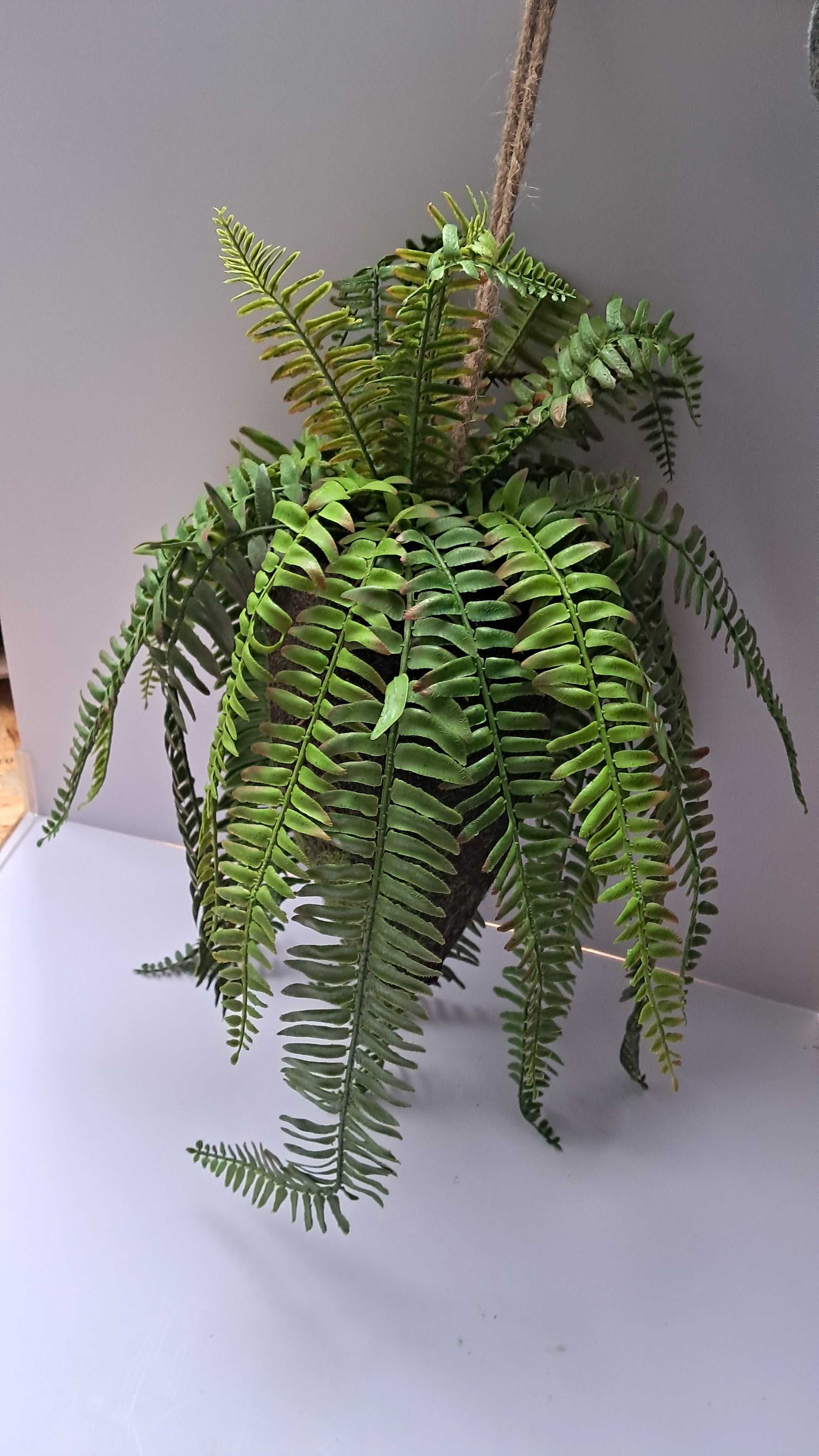 Dekoracja roślinna Woood „Fern”, O 30, wys. 58 cm sztuczna paproć