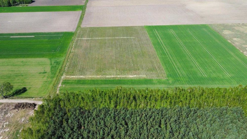 Sprzedam działki budowlane