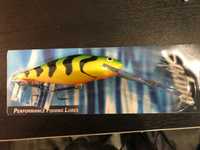 salmo fatso perch 14SDR