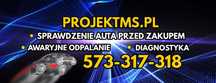 Sprawdzenie pomoc przed zakupem samochodu/diagnostyka /miernik lakieru
