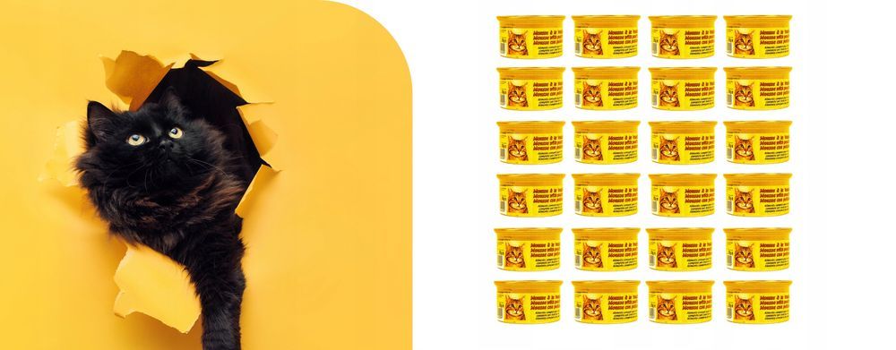 Gourmet Zestaw Karmy Mokrej Dla Kota Kurczak 48X85G Made In France