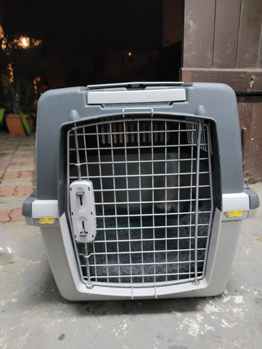 Trixie duży Transporter dla psa Gulliver, rozm. 4

Rozm 4: gł. x szer.