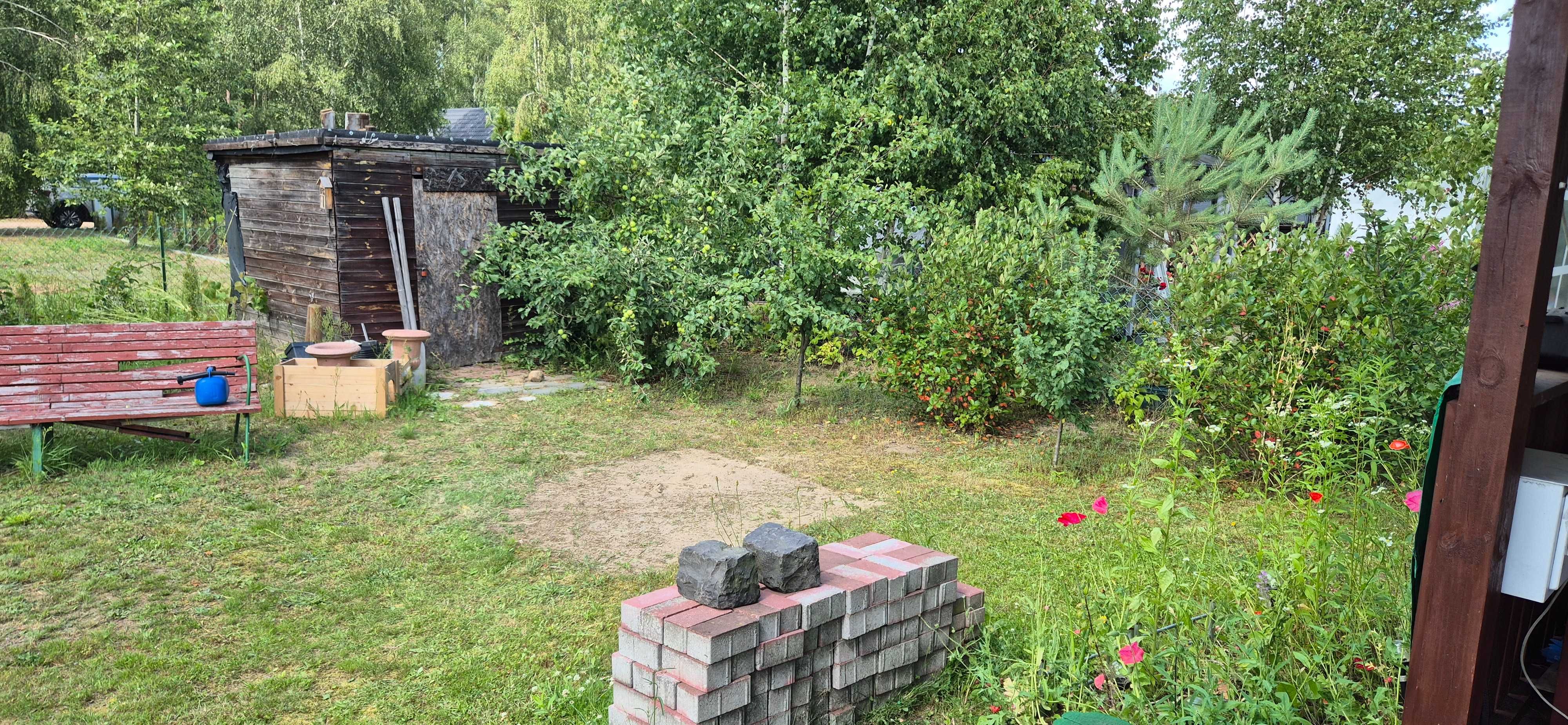 Działka ROD w Mazowieckim 500m2 - Budy Strzyże koło Mszczonowa