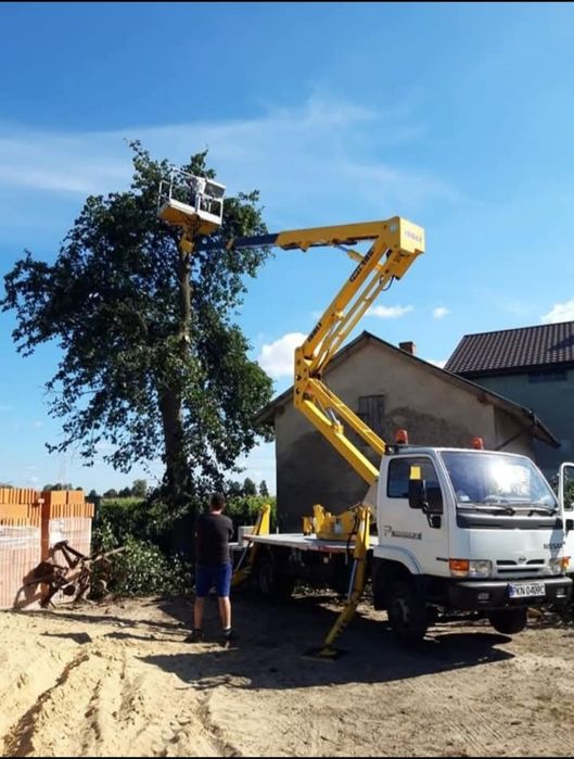 Wycinka drzew trudnych podnośnik koszowy