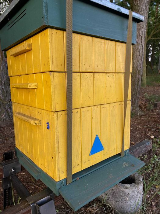 sprzedam ule ramka wielkopolska leżaki i korpusowe