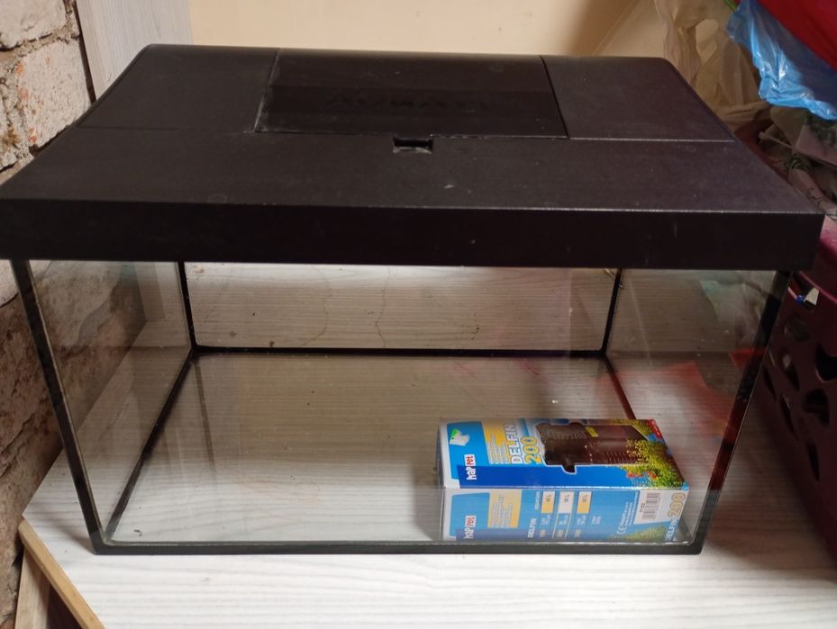 Akwarium plus gratisy