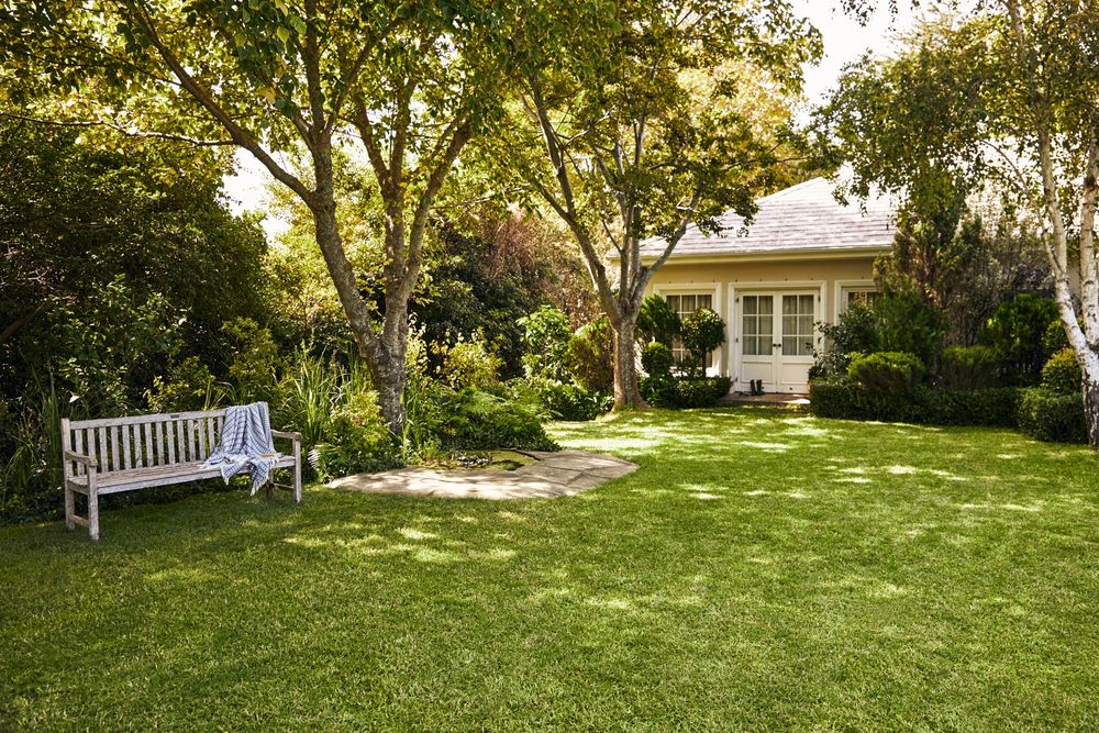 Serviço de jardinagem e limpeza de terrenos