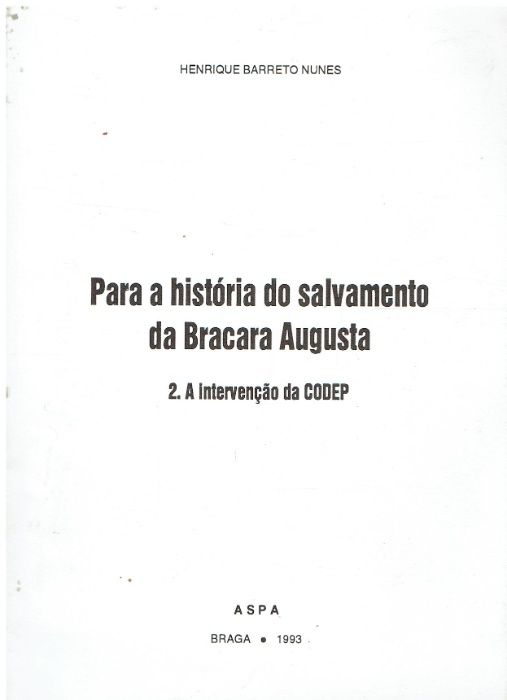 878 Para a história do salvamento da Bracara Augusta : a intervenção