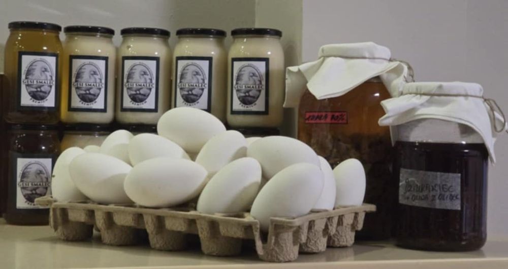 3x Gęsi Smalec 900ml