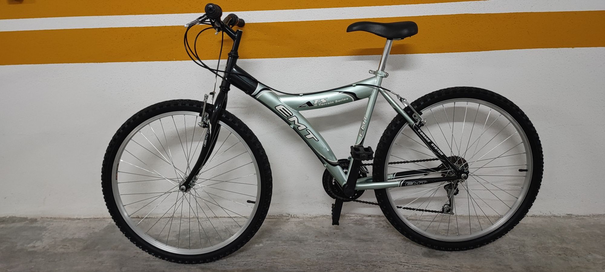 Bicicleta de montanha