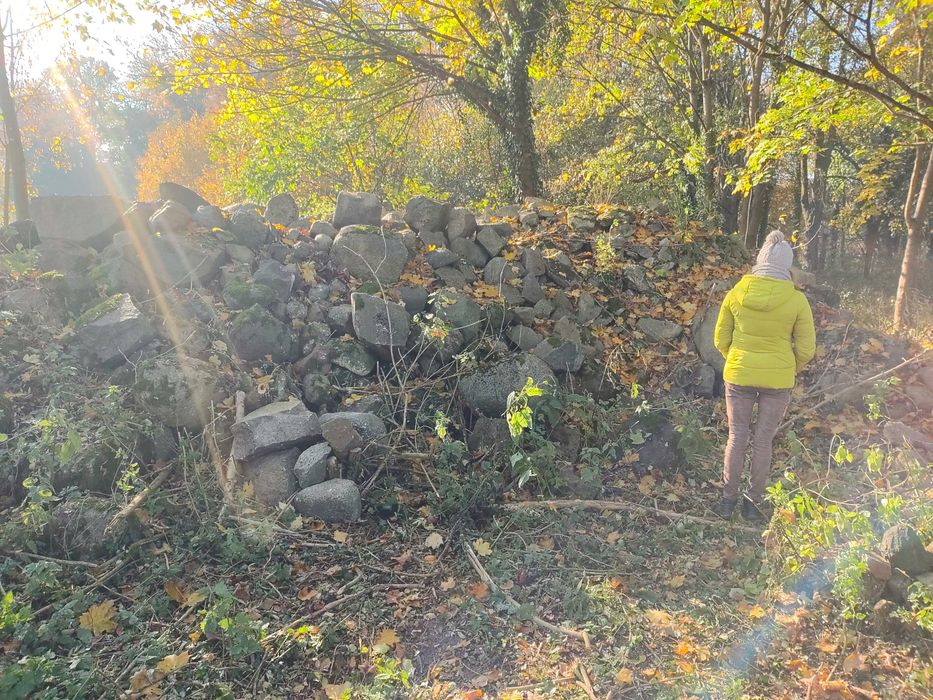 Sprzedam głazy narzutowe, bergi, kamienie ozdobne polodowcowe Cedynia