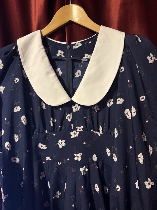 Романтична сукня з білим комірцем