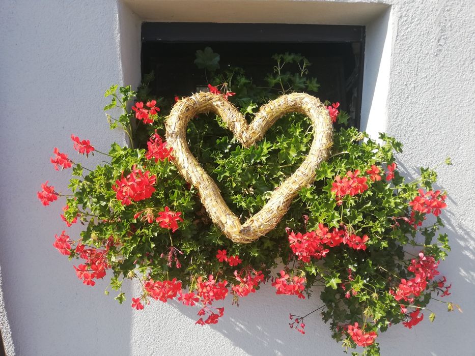 Serce ze słomy, serca słomiane, serce na drucie