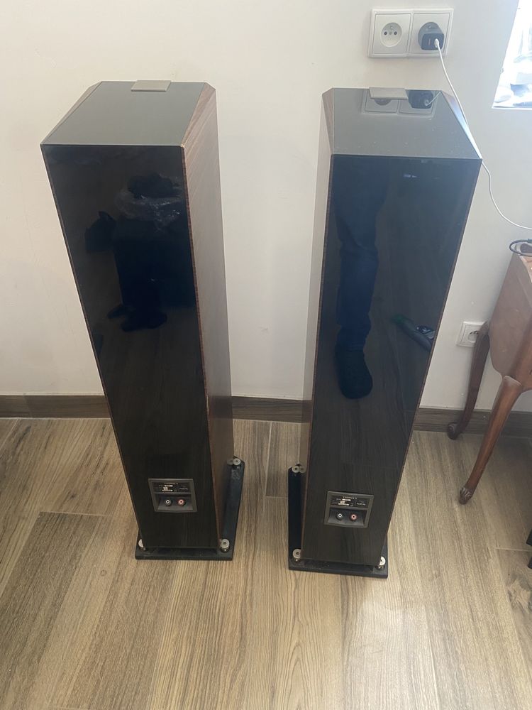 Focal chorus 826v noyer