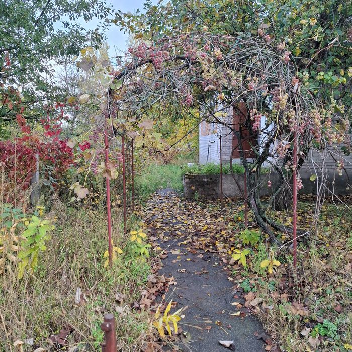 Будинок з великою територією