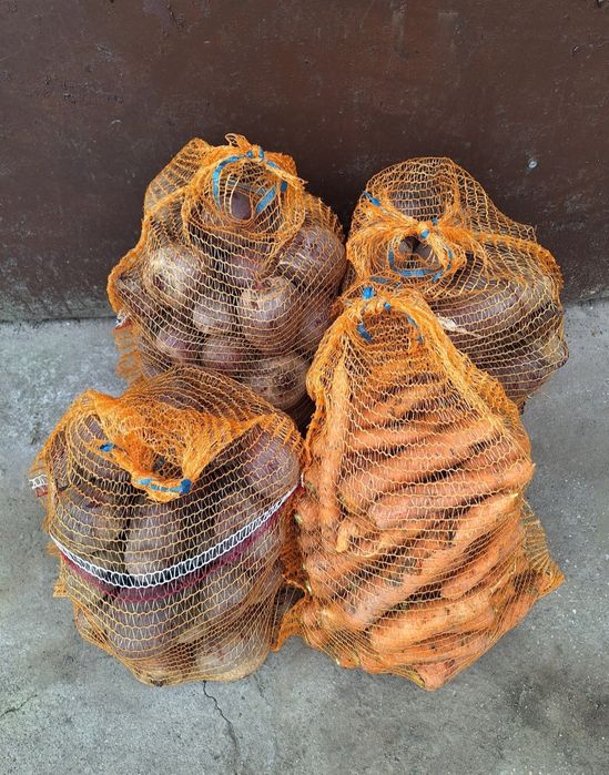 Warzywa od rolnika Marchew pieteuszka Kapusta Seler cebula buraczki