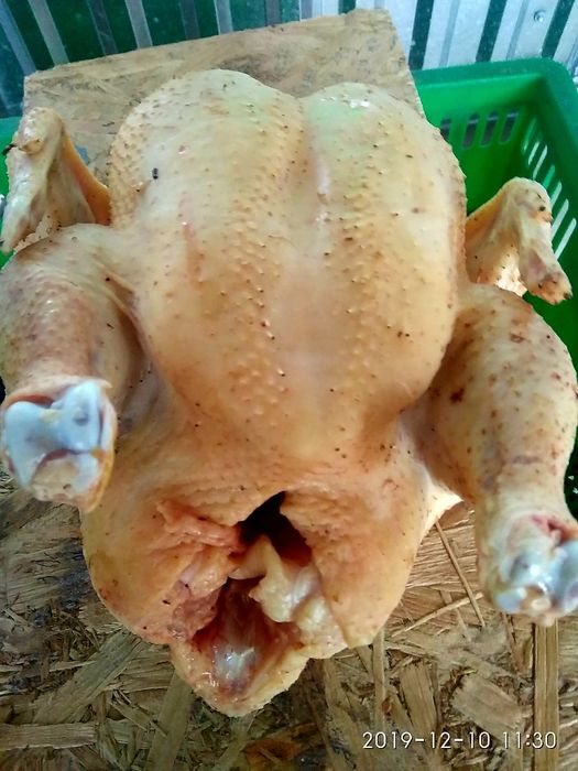 Мясо курицы, тушки бройлеров, утки, цыплята опт