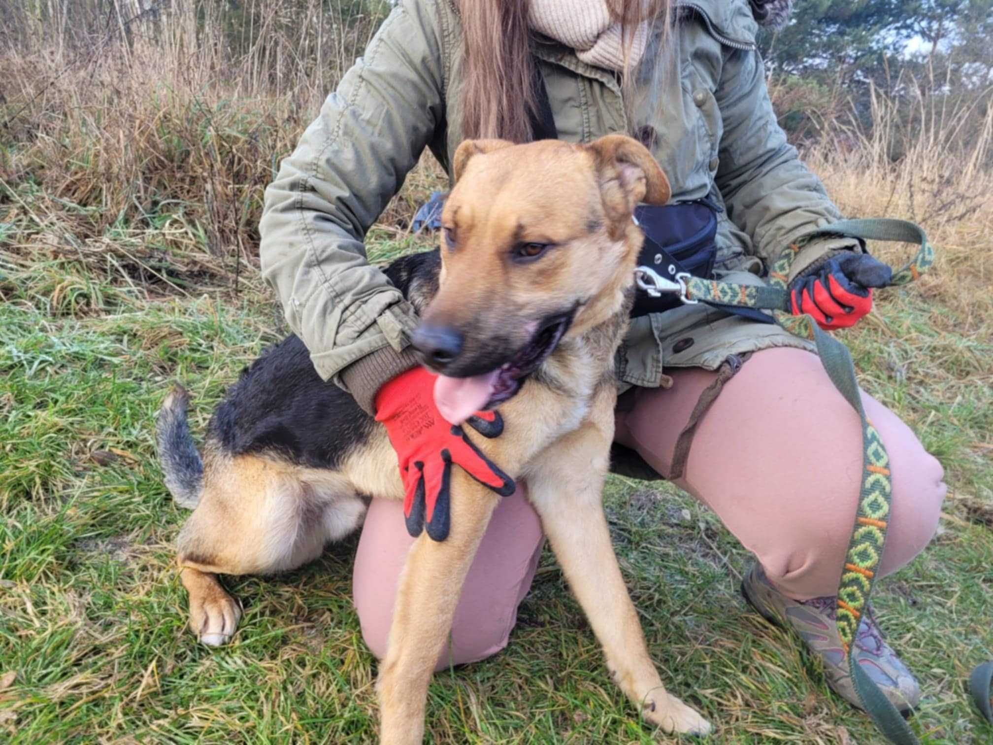 Kochający człowieka CZARUŚ szuka domu !! Do adopcji !!