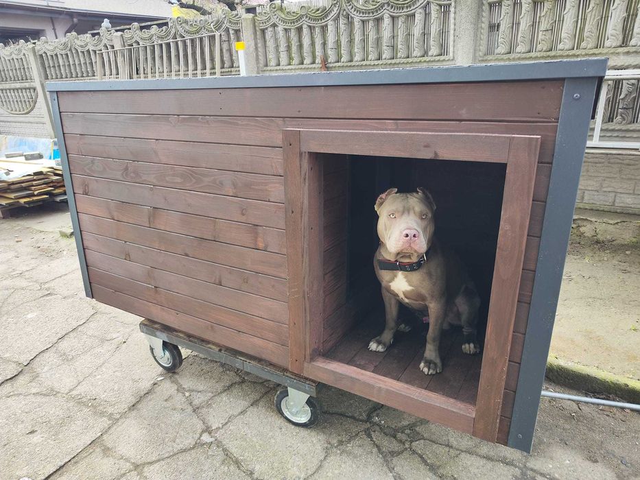 Solidna buda XXL dla dużego psa!!! Labrador Alaskan z przedsionkiem