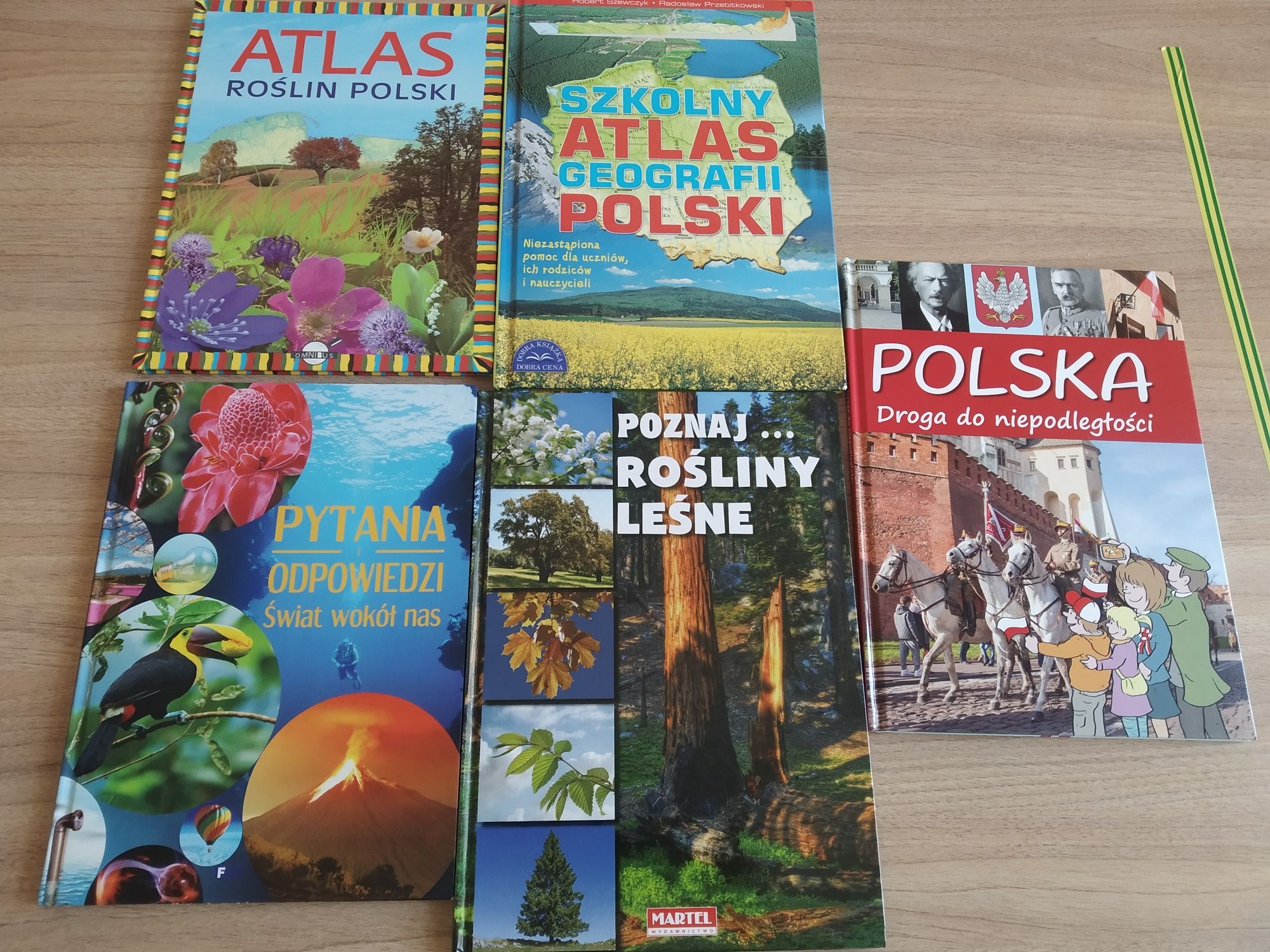 Szkolny Atlas geografii Polski i inne