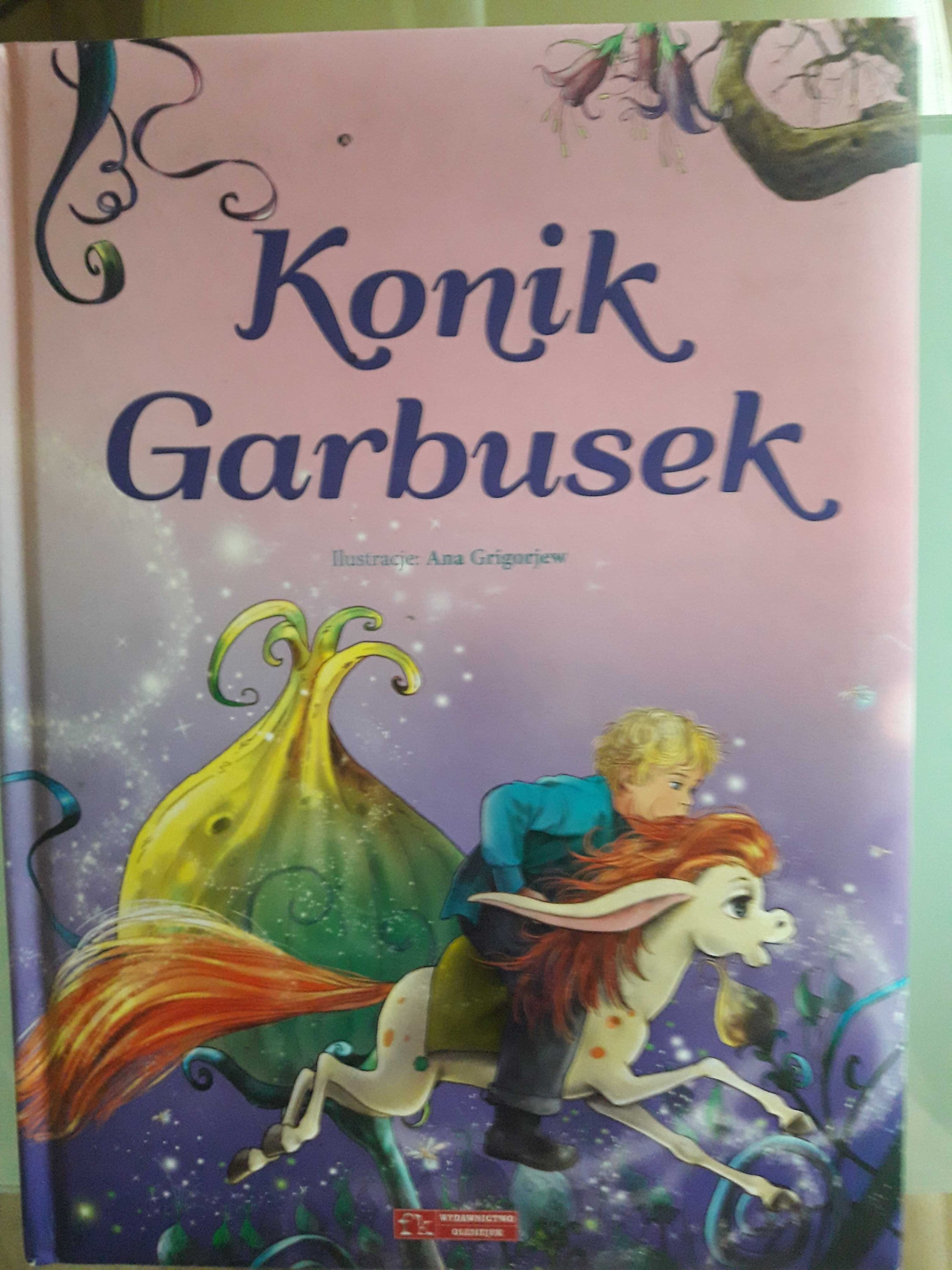 Ksiazka dla dzieci " Konik Garbusek "