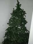 Vendo árvore de natal