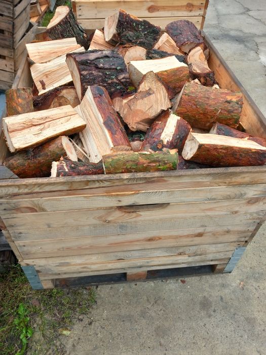 Drewno opałowe sosnowe