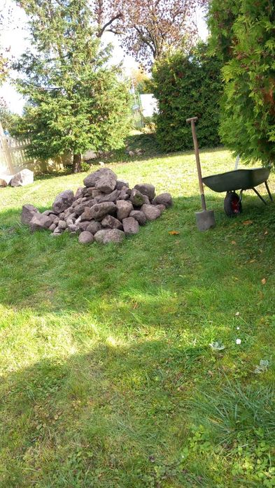 Oddam kamienie za darmo