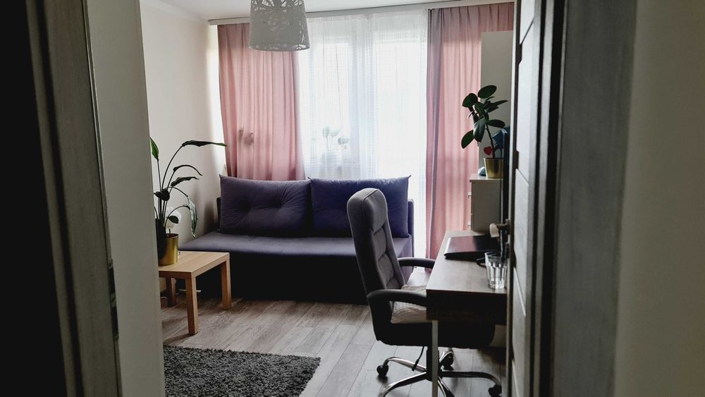 Wygodny pokój do wynajęcia, wolny od grudnia br.