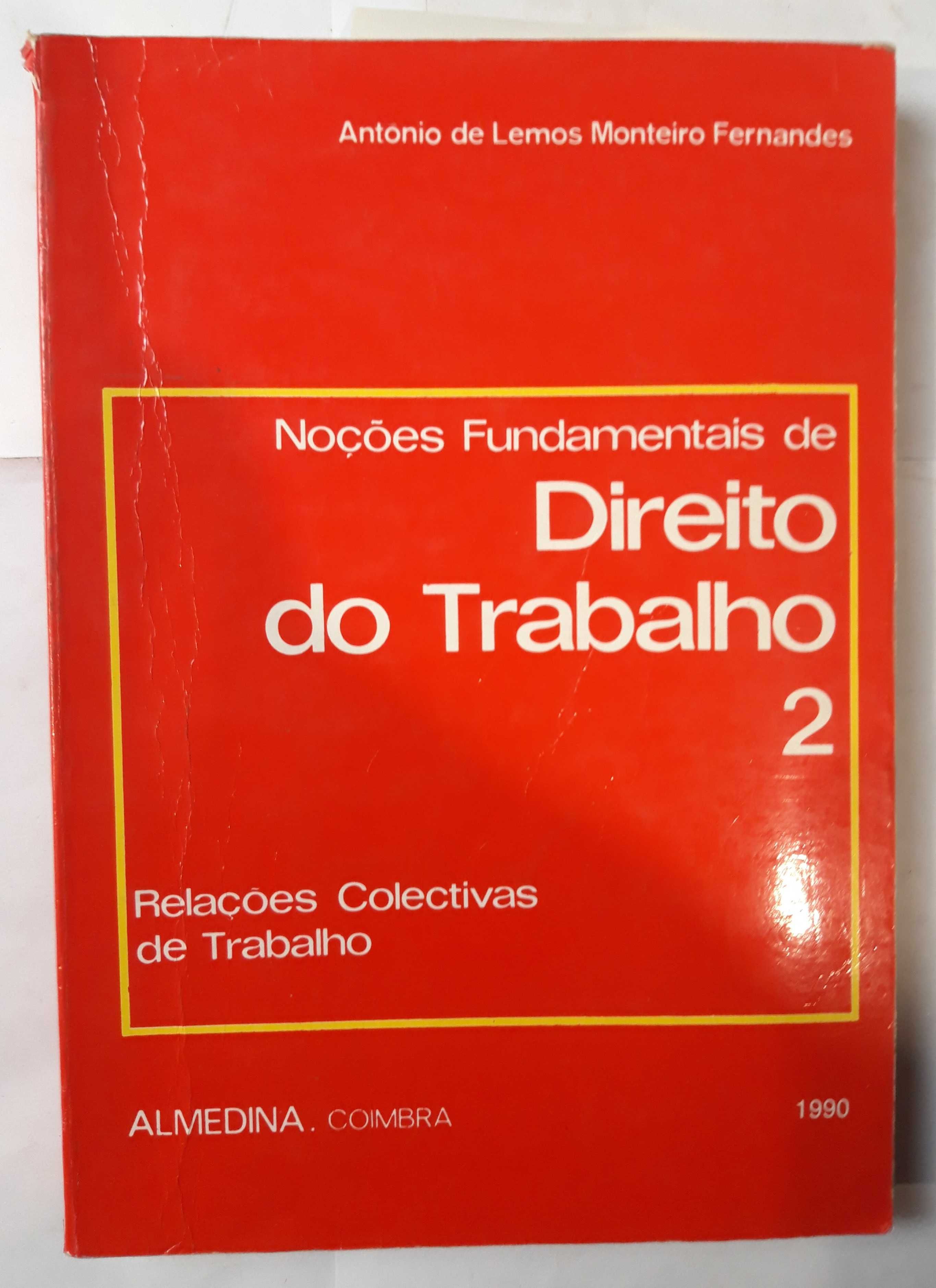 E1 - Livro - Noções Fundamentais de Direito do Trabalho 2