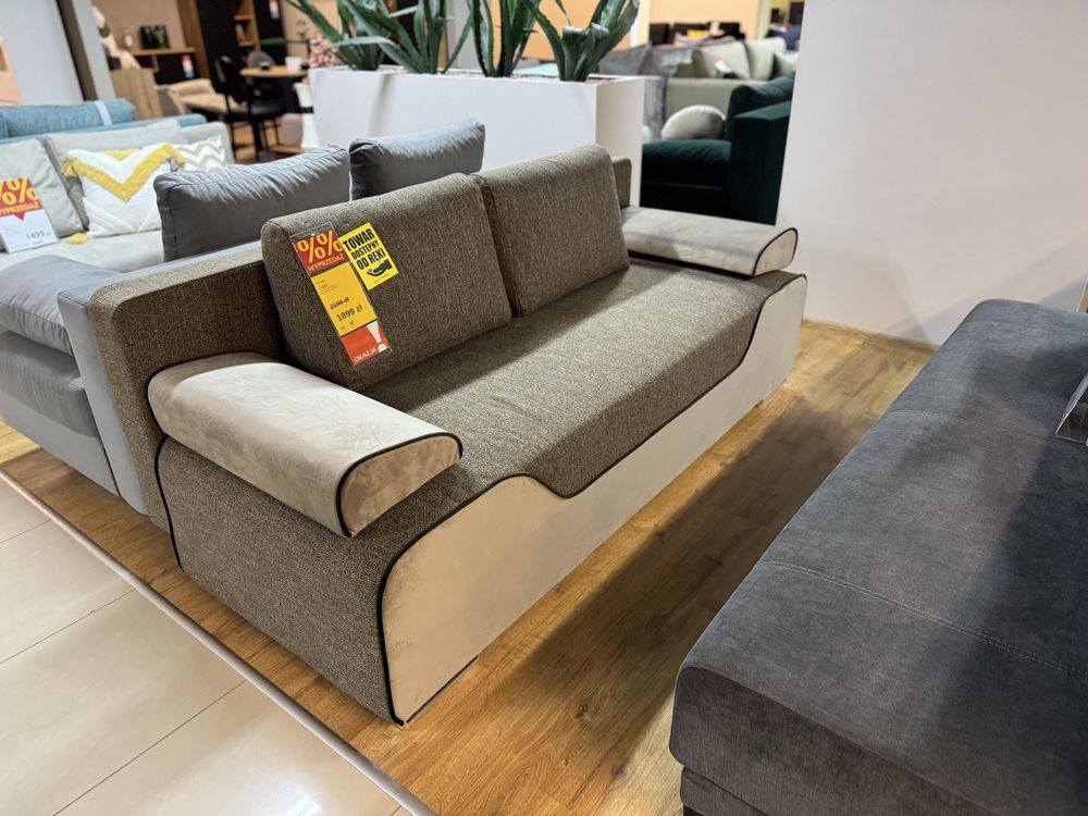 Kanapa sofa Gaja dab gdynia wyprzedaż ekspozycji