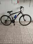 Bicicleta de montanha