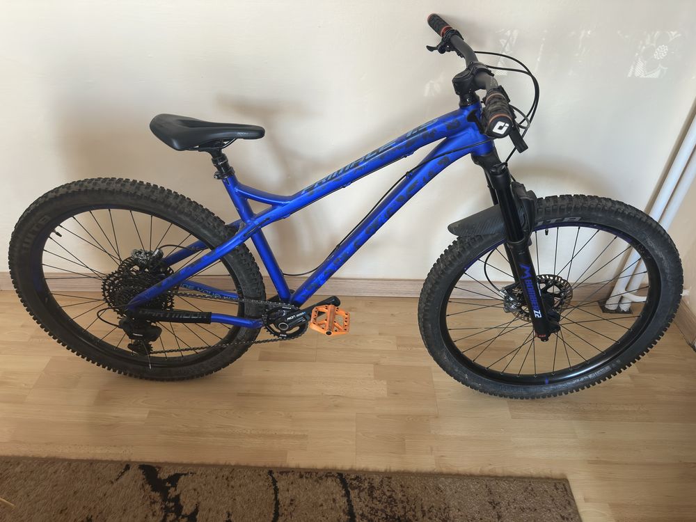 Dartmoor primal pro