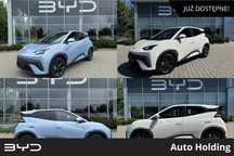 BYD Dolphin Surf Boost