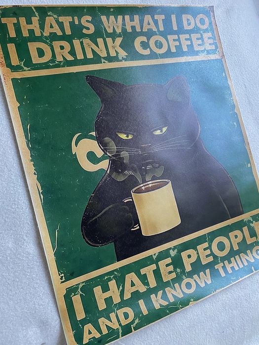 Obrazek na płótnie HD/Abstraction, Funny Motivation Cat’s (40x50)