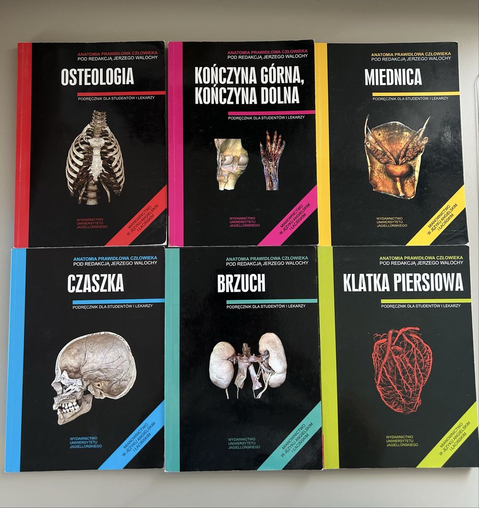 Skawiny Anatomia podręczniki tom 1-6