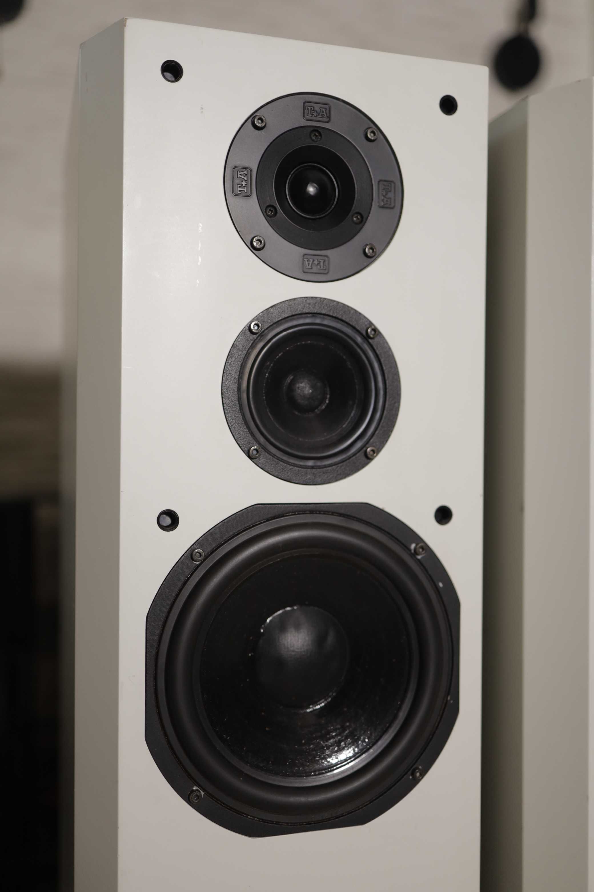 Hi-Fi акустика T+A Criterion TMR 60