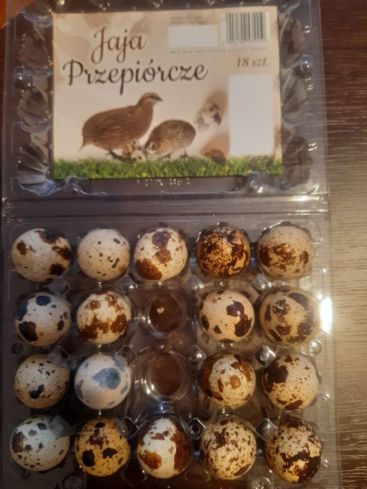 Jajka przepiórcze konsumpcyjne
