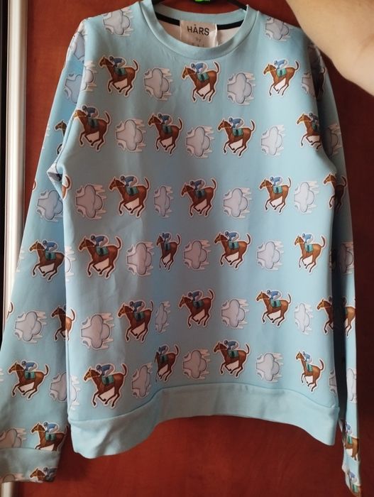 Bluza  w koniki :)