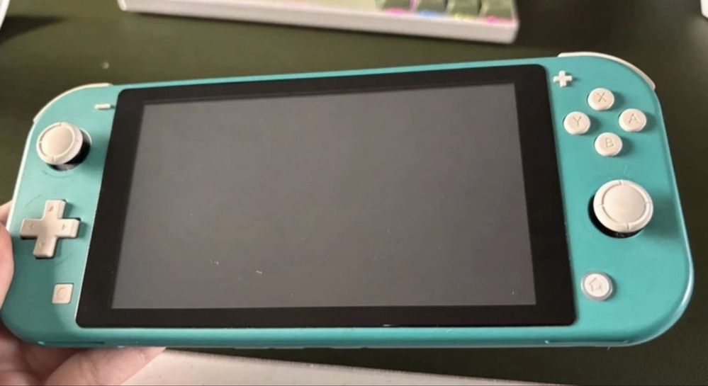 Nintendo switch lite