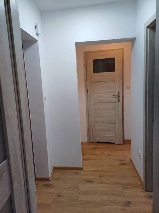 Mieszkanie dwu pokojowe do wynajęcia