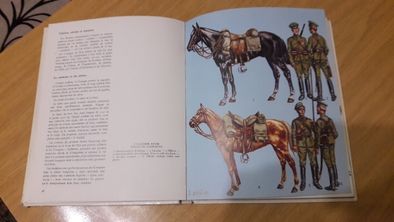 Альбом униформы различных армий 1914-1918 гг.